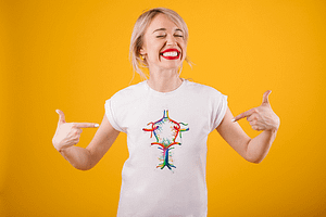 circle of willis model sml